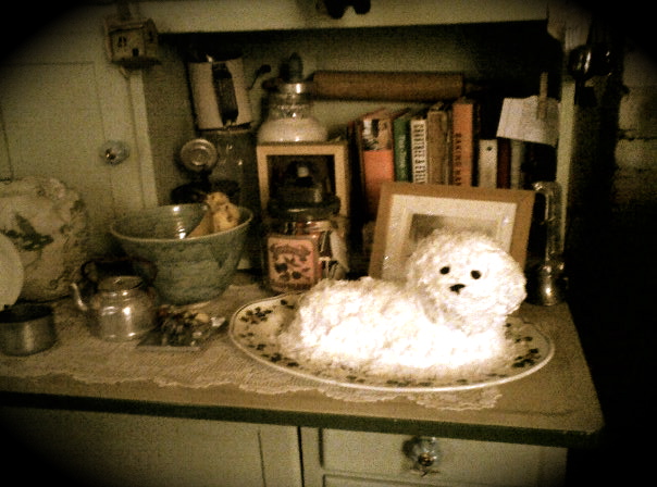 Is it a lamb or a Bichon?