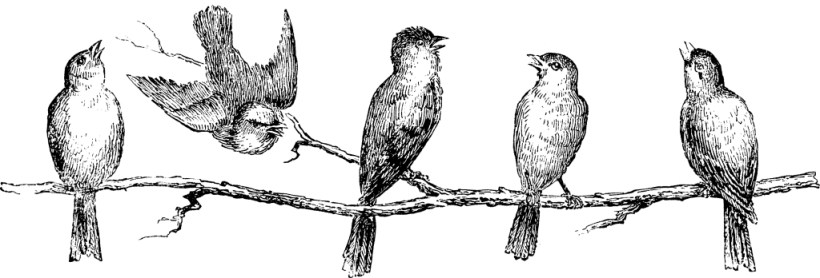 I failed Twitter 101