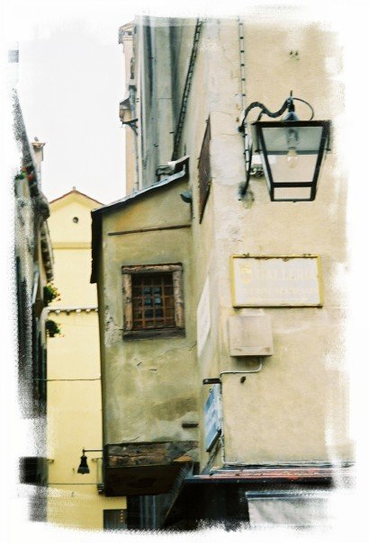 This is a window in Venice, but it has a Shadow of the Wind feel to it ... I haven't been to Barcelona... yet.